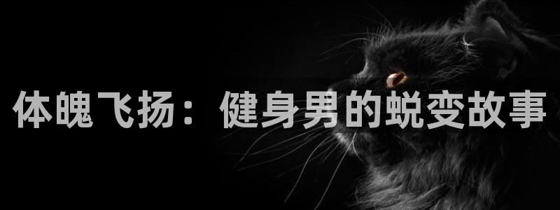 意昂4官网