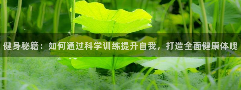意昂4注册