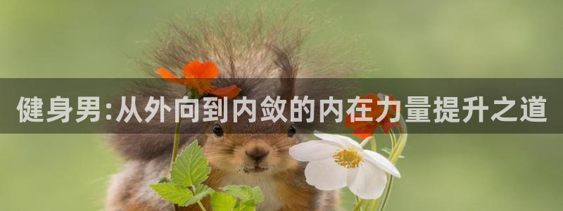 意昂4招商