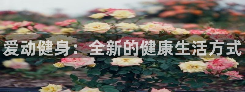 意昂4代理